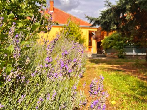Jaroslavice Maison | Penzion Estetika