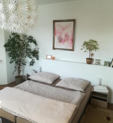Zatec Appartement | Penzion Flóra