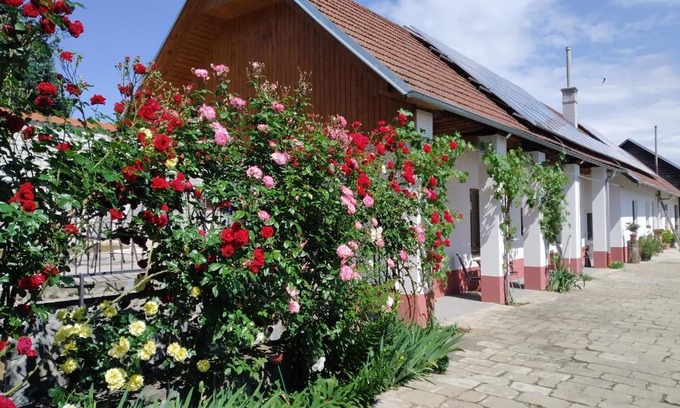 Veseli nad Moravou Appartement | Penzion Na výminku