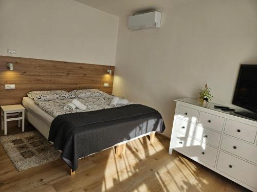 Horni Vestonice Appartement | Penzion u Studánky
