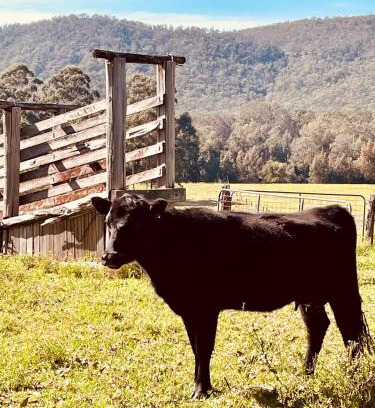 Clarence Town Maison | Peppercorns Riverside Farm Stay