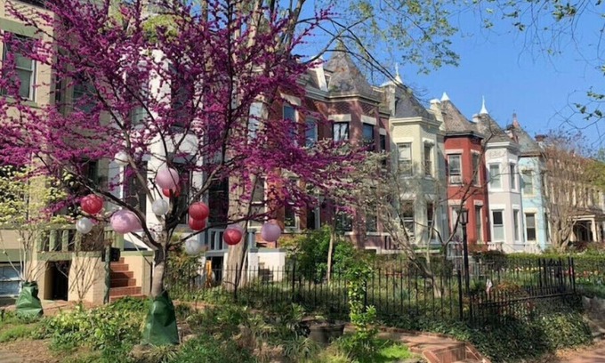 Northeast Appartement | Perfect Location in Capitol Hilln
