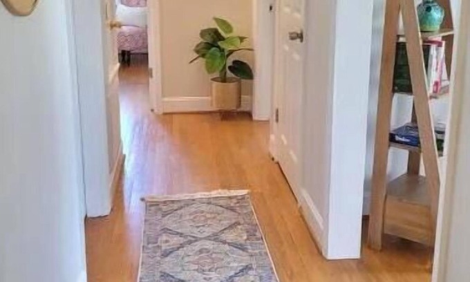 Lynchburg Appartement | Perfect Spot for Graduation! 2 Mi to LU- Renovated 2 Bed 1 Bath
