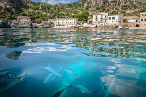 Castelluzzo Appartement | Perla di Mare Appartamenti