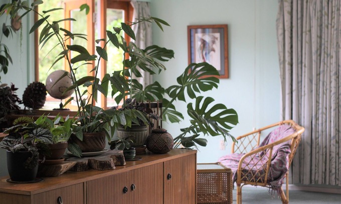 Raumati South Maison | Maison familiale lumineuse, ensoleillée et tranquille