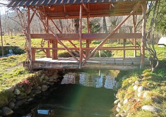 Malaiesti Maison | Pescărie La Nelu