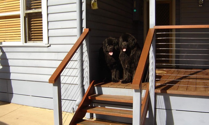 Cannons Creek Maison | Beach Cottage à Cannons Creek