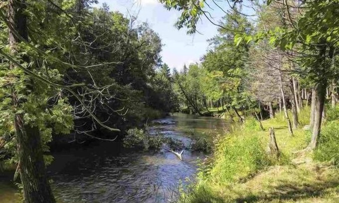 Thompsonville Cabine | Animaux acceptés, Betsie River Retreat - 10 personnes - Ski, poisson et plus encore!