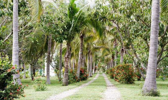 Acapulco Maison | Pet friendly bungalow between the ocean and lagoon