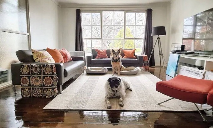 Watson Maison | Pet Friendly Inner City Comfort. Coffee Food Shops a 2min Walk