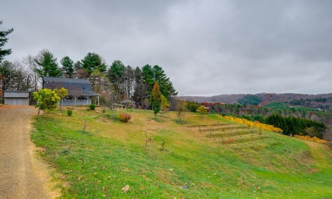 Pilot Appartement | Pet-Friendly Pilot Studio with Vineyard Views!