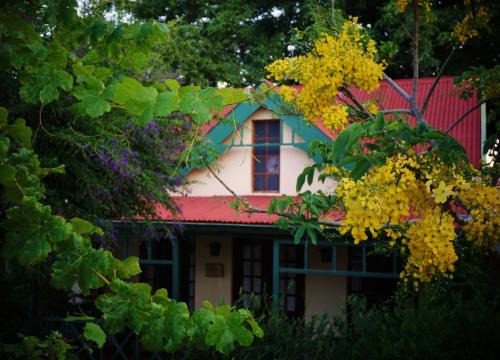 Pretoria Appartement | Petal Faire Cottage