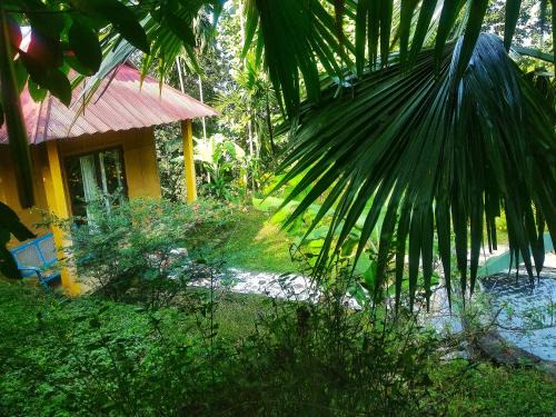 Kalimpong Maison | Petrichor Forest Retreat