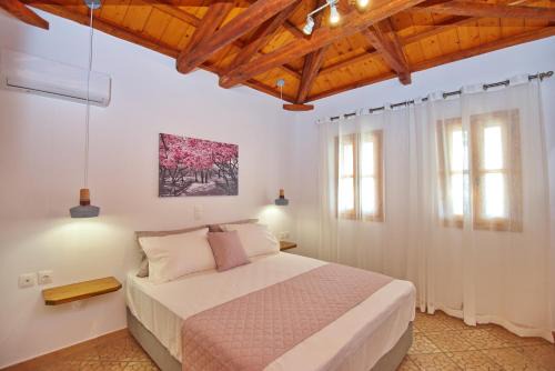 Patitiri Maison | PETRINO