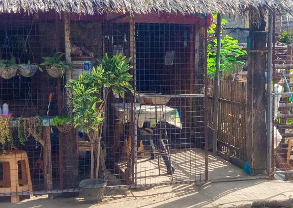 Nasugbu Maison | Phielle In-Home Calayo House Rental