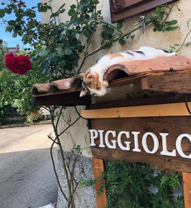 Rocca Malatina Maison | PIGGIOLO