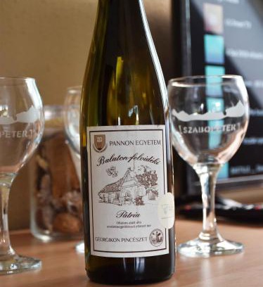 Cserszegtomaj Appartement | Pilikán Apartments - Park, Agroturism, Vineyard & farm