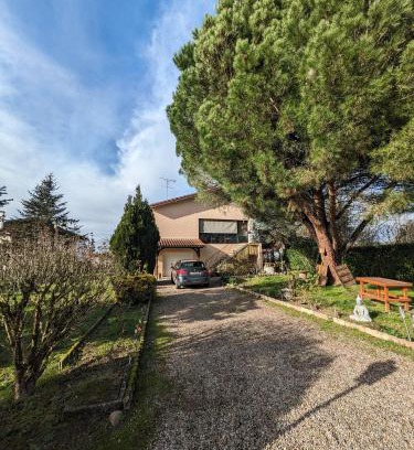 Marmande Appartement | Pin parasol