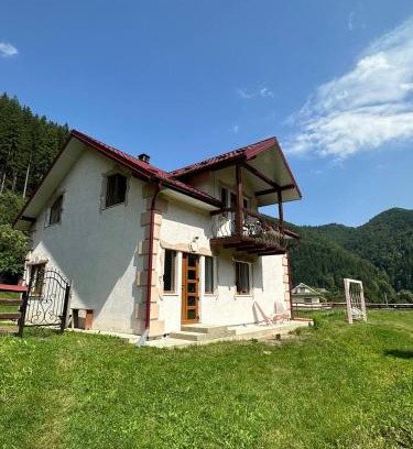 Dobrovelychkivka Appartement | Pink House Karpaty