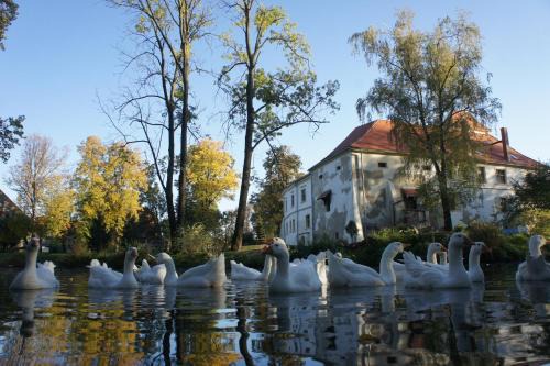 Otmuchow Maison | Piotrowice Nyskie Palace