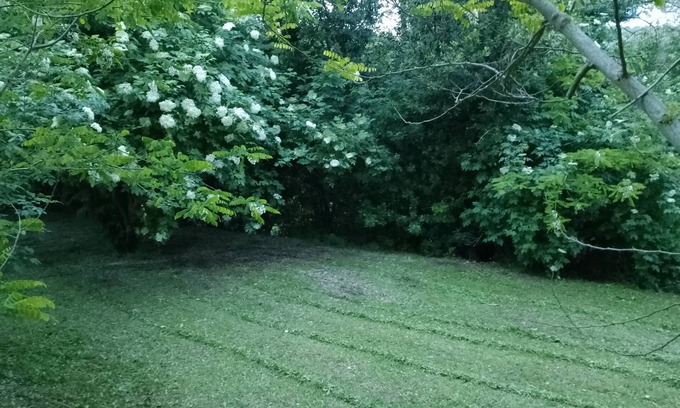 Lorenzana Maison | PISA-LORENZANA- TREMOLETO, collines pisanes rustiques entourées de verdure