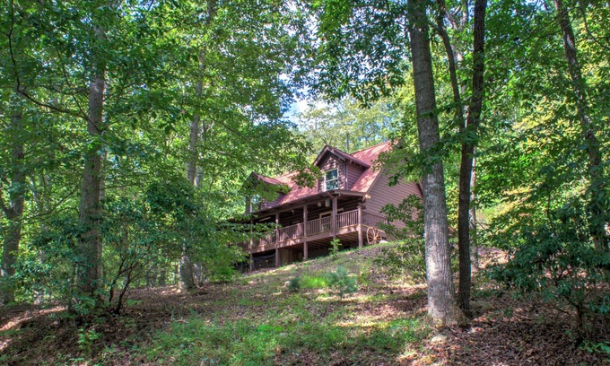 Arden Cabine | Pisgah Pines by Carolina Mornings | Fire Pit & Hot Tub +Biltmore Pass 🔥