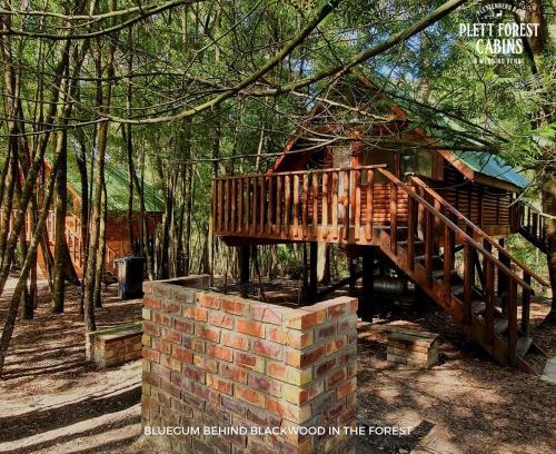 Buffalo Hills Game Reserve Hôtel | Plett Forest Cabins