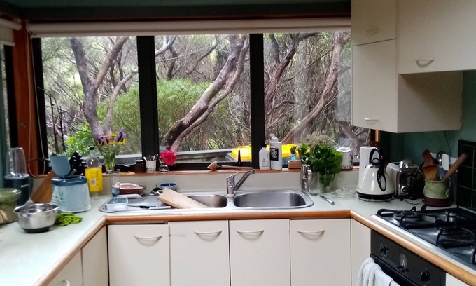 Plimmerton Maison | Plimmerton Tree Top house (one of two on hillside) - surrounded in manuka forest