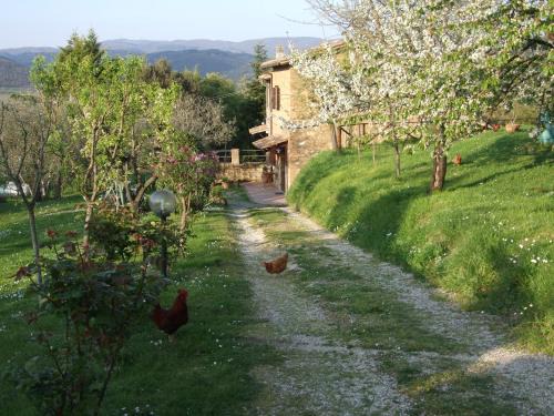 Orvieto Maison | Podere La Vigna Locazione Turistica