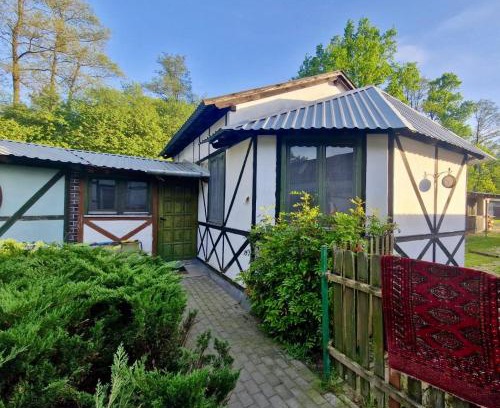 Leoncin Appartement | Pokój Afryka-Puszcza kampinoska