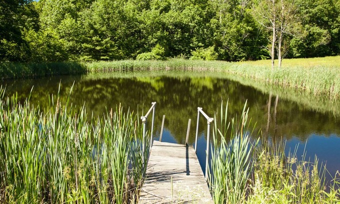 Old Chatham Maison | Pond View Cottage in Old Chatham RÉDUCTIONS HEBDOMADAIRES ET MENSUELLES OFFERTES !!!!