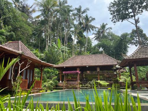 Undisan Maison | Pondok Manca
