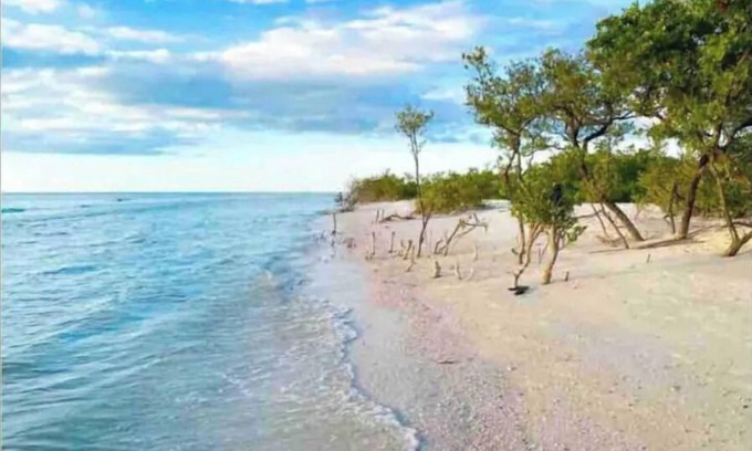 Cobbs Landing Maison | *Pool* 8.5 miles to Honeymoon Island. 4 bdr