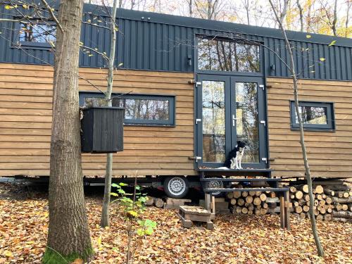 Matraszentlaszlo Appartement | POP Tiny House Mátra