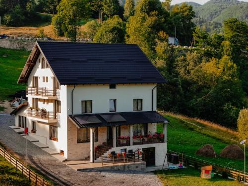Dambovicioara Maison | POPAS DE MUNTE