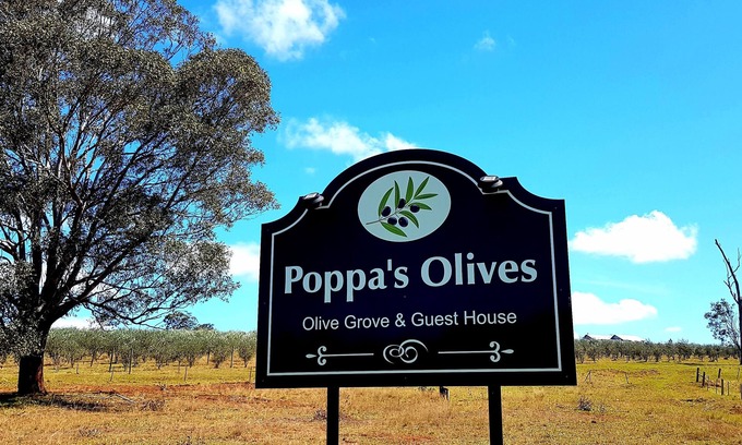 Hunter Valley Autre | Poppa's Place @ Dalwood, Hunter Valley Vineyards Farmstay