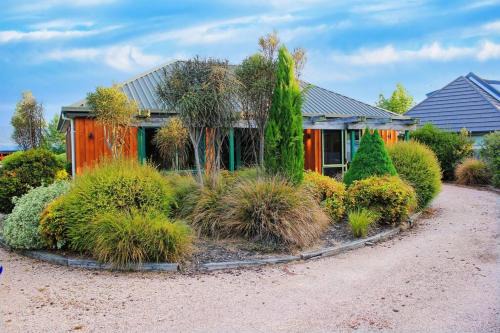 Hanmer Springs Maison | Popular Family and Pet friendly Modern Cosy Bach WiFi