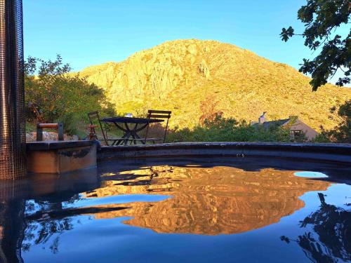 Villiersdorp Maison | Porcupine Hills Olive and Guest Farm