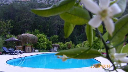 Cirali Cabine | Portalimo Lodge Hotel - Adult Only +12