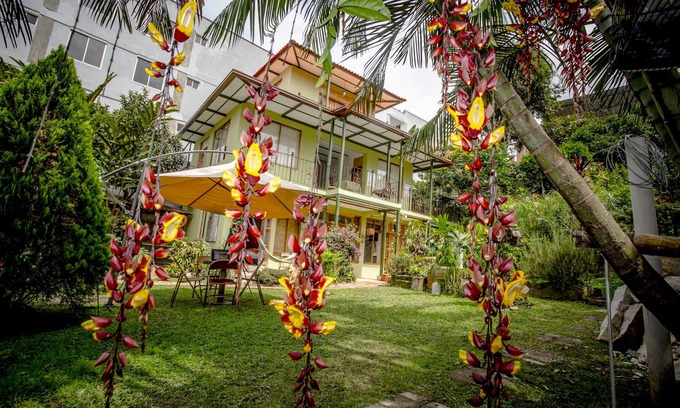 Silvania Lit Et Petit-Déjeuner | Posada Las Bromelias