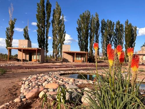 Barreal Hôtel | Posada Piuquén Suites De Montaña