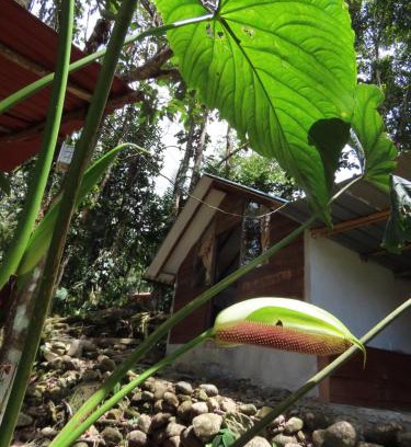 San Luis Hôtel | Posadas Entre El Bosque