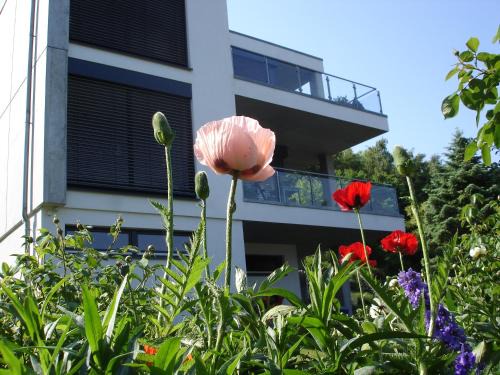 Binz Appartement | Potenberg 4a by Rujana