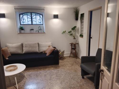 Luxeuil-les-Bains Appartement | Pounette, appartement 2 chambres souplex villa Centre Thermes