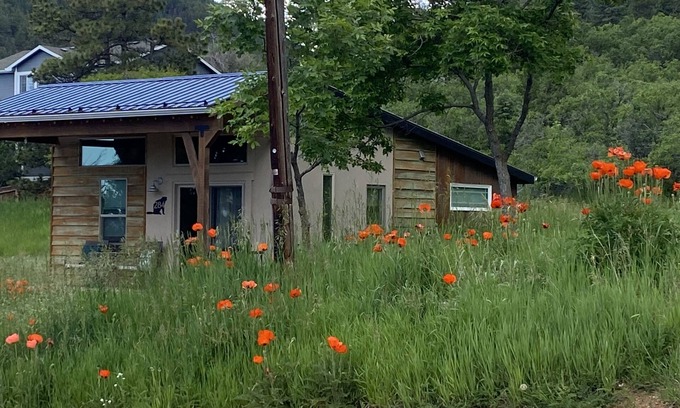 Palmer Lake Maison | Pristine New Modern Bungalow At the Base of The National Forest; 1 Acre of land
