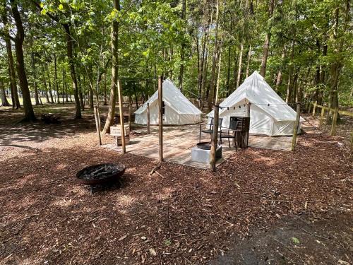 Hoogstraten Autre | Privé Alpaca Glamping Hoogstraten