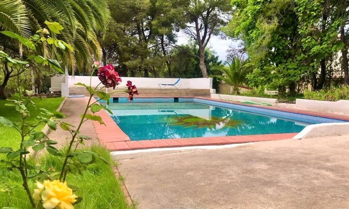 Betera Maison | Private bungalow in an ecological farm 30 minutes from Valencia and beaches.