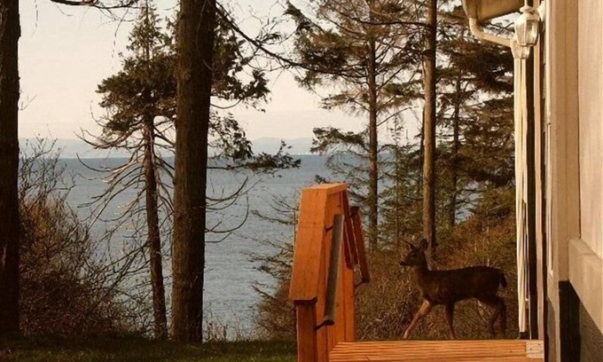 Port Angeles Maison | Humble Bee Hive a vue sur l'eau, Pvt. Plage, entre Sequim et Port Angeles