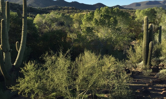 Cave Creek Cottage | Casita privée à Cave Creek