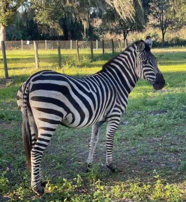 Pierson Maison | Private Farm with Beach Near St Johns River
